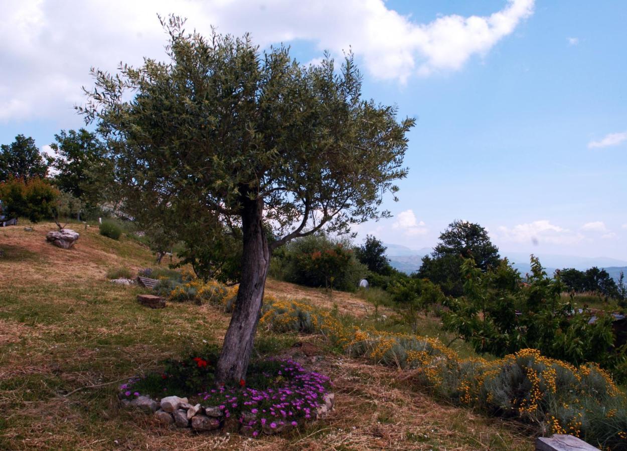 B&B La Montagna Rosa Castelnuovo  Exteriör bild
