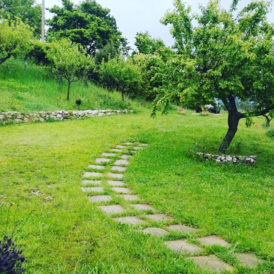 B&B La Montagna Rosa Castelnuovo  Exteriör bild